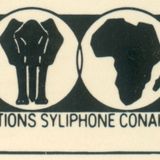 BkoSwo115 - Syliphone la diversité