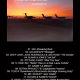 Steve D - End Of Summer (25/08/2013)