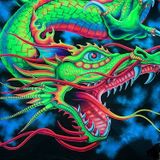 Dragon Dreaming Demo 2015