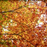 Untergrundwelle 678 - Folge #61 / Die über Herbstlaub