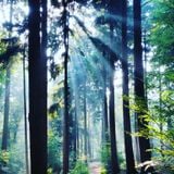 Mixtape7 Minimal Techno mixed by Padmosphere