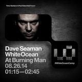 Dave Seaman - Live at White Ocean, Burning Man Festival, USA August 26th 2014