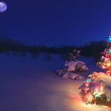 Christmas Loops Ride