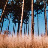 Mix-IX_jazz-mix-may15