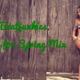 Beatjunkies Time for Spring Mix