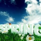 Spring Loaded