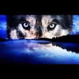 Visions from the Grandfather by Sunka Wicasa