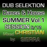 Dub Selektion - Dance & House Summer Session Vol.1 6-2012