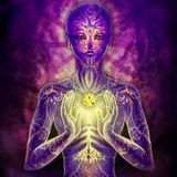 DharmaMIXED III - The Practice of Art