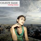 Dedication to DJ Celeste (Electro House Mix #3)