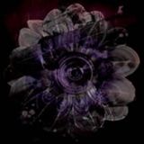 Fluid Radio Mix