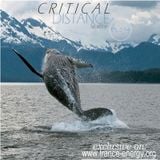 <<CRITICAL_DISTANCE>> full edition Ep.094