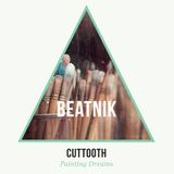 Cuttooth: Beatnik Mix