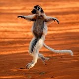 SiFaKa