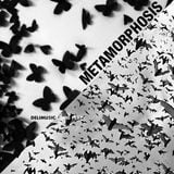 METAMORPHOSIS