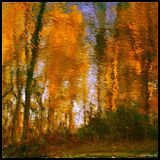 Autumnal - ST 2015.10.11