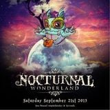 Discovery Project: Nocturnal Wonderland 2013