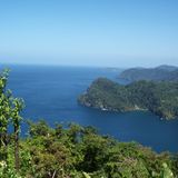 A CELEBRATION OF 50 YEARS OF TRINIDAD AND TOBAGO