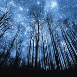 Drum and Bass | April 24 2015