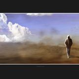 MonkeyAssFamily- Desert