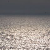 Joga nidra su OM mantra