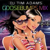 QUADRANT PARK Old Skool Goosebumps Mix