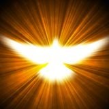 11. Dios en Emanacion