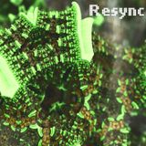 107 - Resync