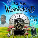 120 min. in wonderland by DJ T.Fox