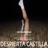 Carrie On - DESPIERTA CASTILLA, ElectroClassics from the biggest nearly dead area in Europe