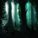 Woods of Wanderlust