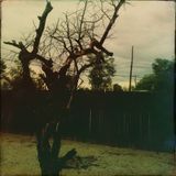 BobNod#22 : The Early Morning Hours