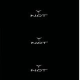 Y Not is Back