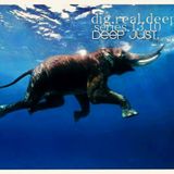 DigRealDeep_series_1310