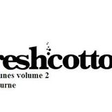Freshcotton's Freshtunes vol 2 mixed by DJ Turne