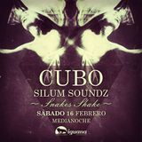 Cubo: Snake's Shake 1/2