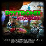 Psytronix-for_the_time_with_my_best_friends_on_the_Psychedelic_Circus_2012_Mix-Juni-2012