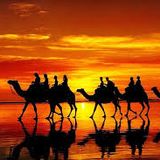 Café Sahara Vol 3 - Oriental Chill Out
