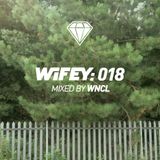 Wifey 018: West Norwood Cassette Library