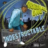 Indestructable - Album Sampler