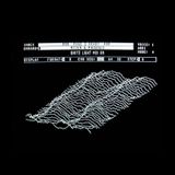 White Light 89 - River & Phoenix
