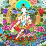 Shamanic Forest Chants 1-6-2013