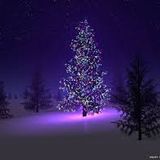 Christmas Song With Dj Thomas Trickmaster E Vol #2...