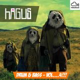 Hagus - DnB Minimix4 (2015-12-29)