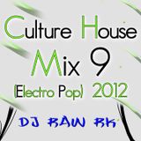 DJ RAW RK_Culture House Mix 9 (Electro Pop) 2012