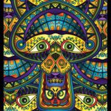 psyco G13 000