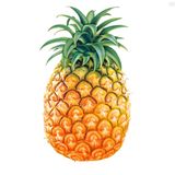 Pra ouvir de capacete#20 - Tropical Edition - Dj Eppinghaus