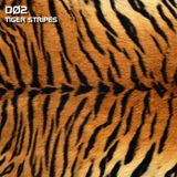 Tiger Stripes