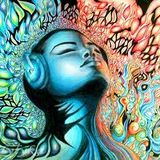 DJ ELLarsson - Wild durch her...