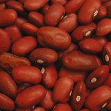DDP - Beatbeans Mix